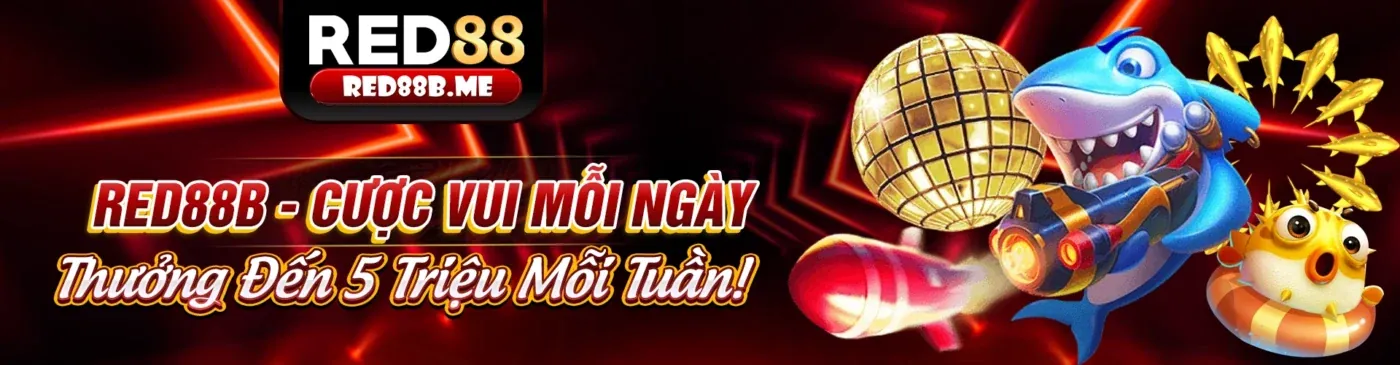 Hình ảnh minh họa chính sách cookie SV 88